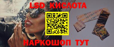 PSILOCYBIN Владимир