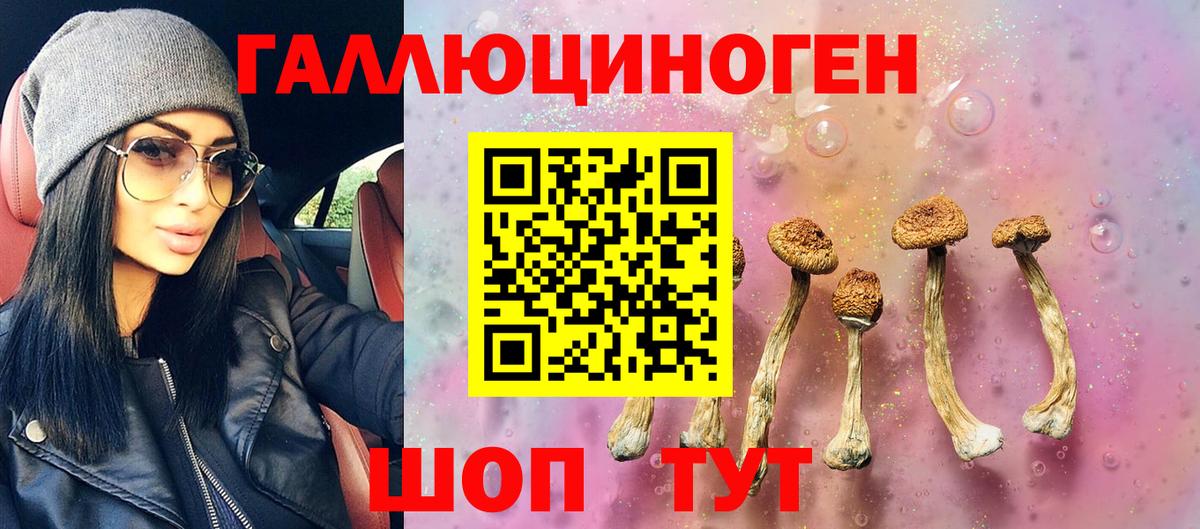 Псилоцибиновые грибы Psilocybine cubensis Бердск